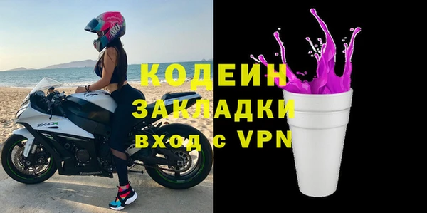 сатива Бородино