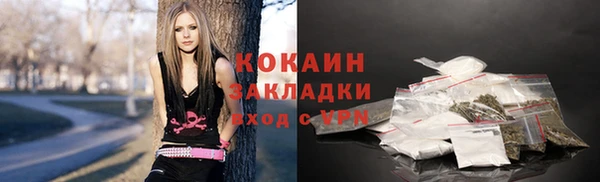 сатива Бородино