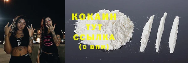 сатива Бородино