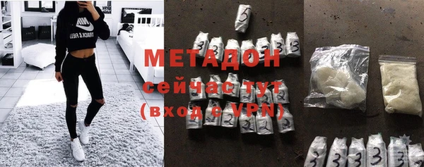сатива Бородино