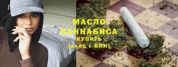 сатива Бородино