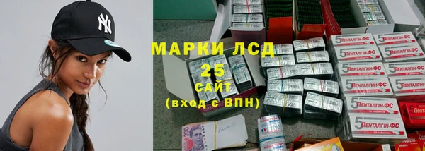 сатива Бородино