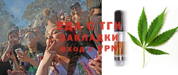 сатива Бородино